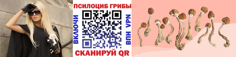 Псилоцибиновые грибы мицелий  Богородицк 